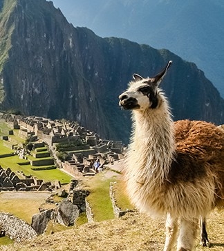 Machu Picchu