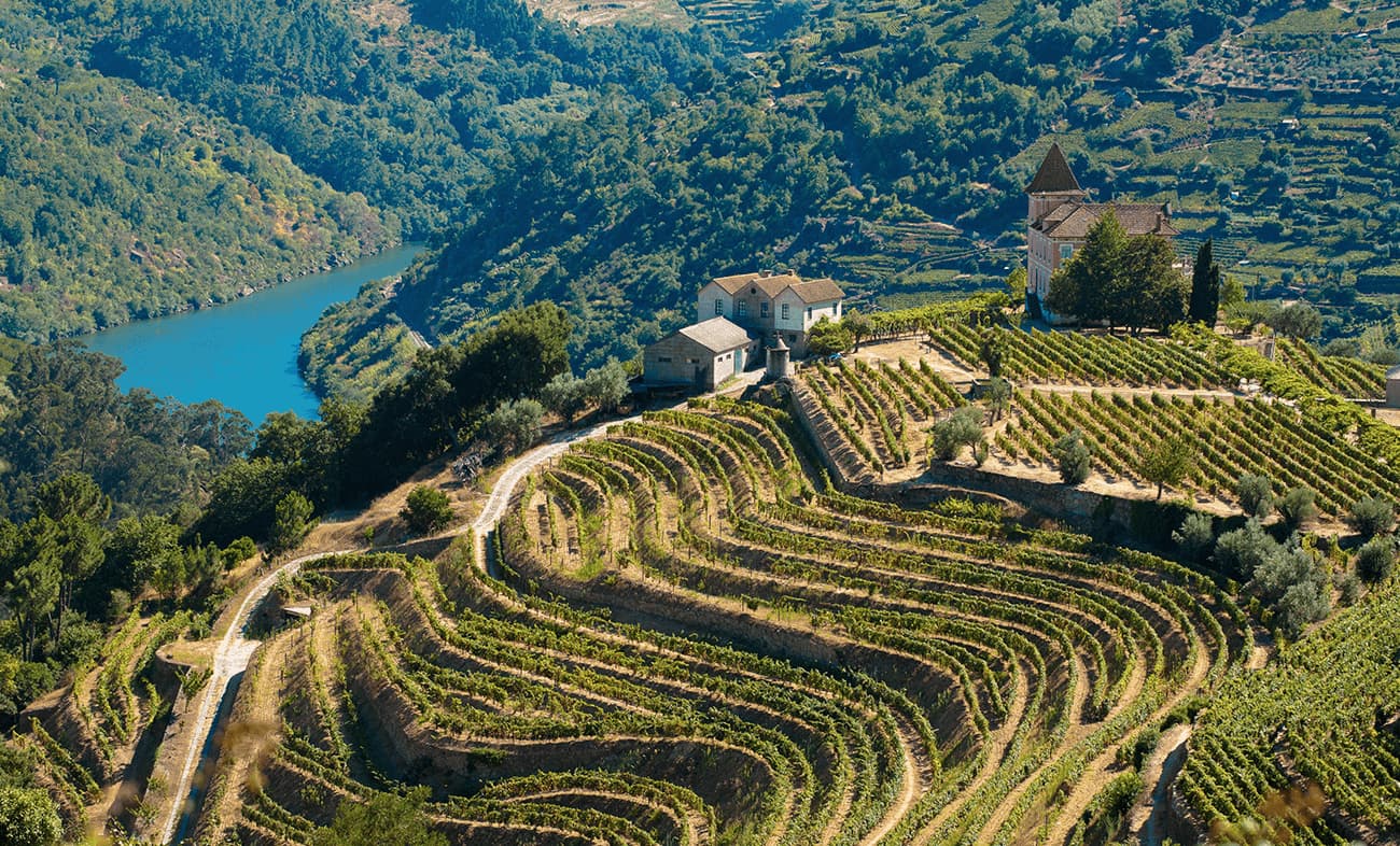 Região em Vale do Douro