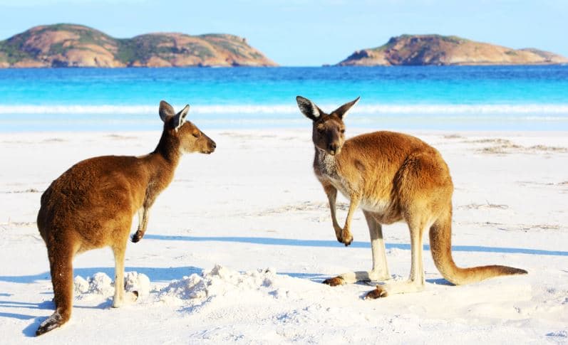 intercâmbio na austrália