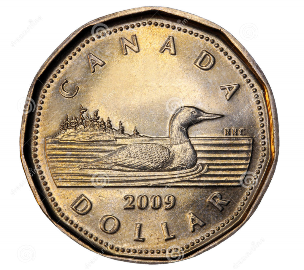 Um dólar canadense